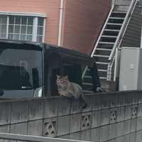 画像1009