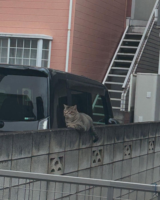 画像1009