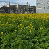 画像1017