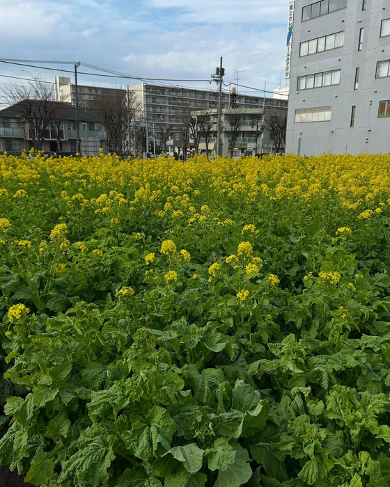 画像1017