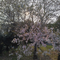 画像1039