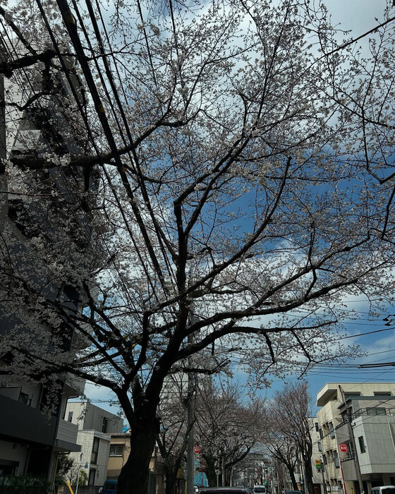 画像1045