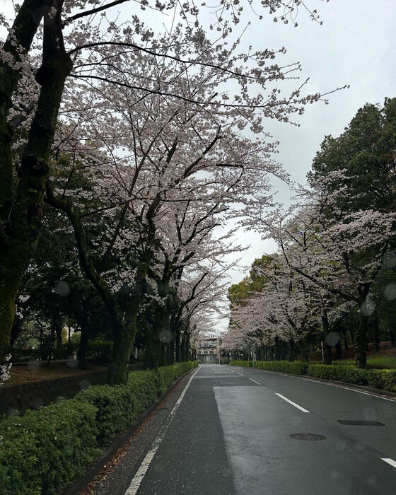 画像1060