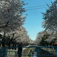 画像1062