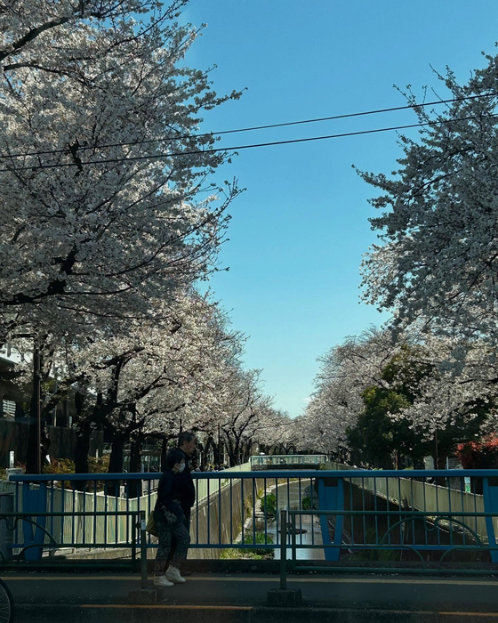 画像1062