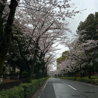 画像1069
