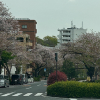 画像1074