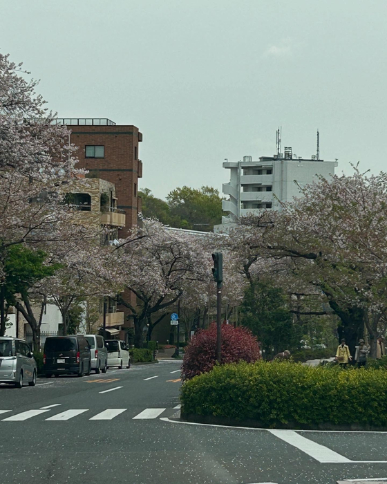 画像1074