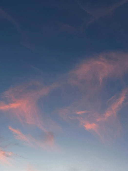 画像1269