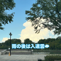 画像1309