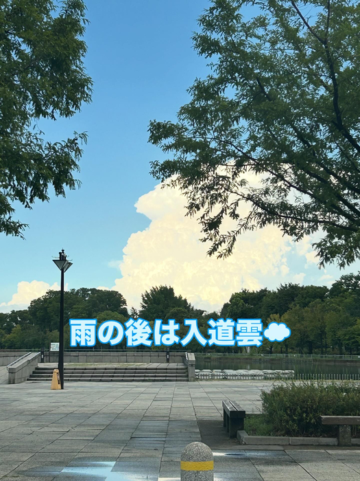 画像1309