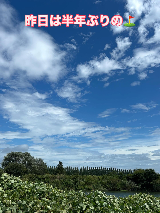 画像1312