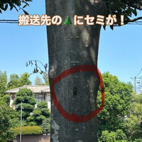 画像1329