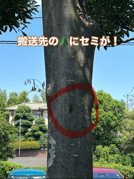 画像1329