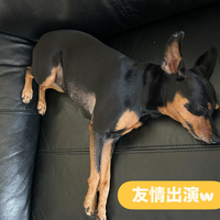 画像1351