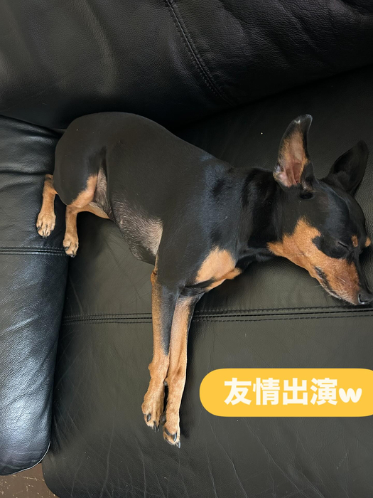 画像1351