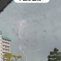 画像1378