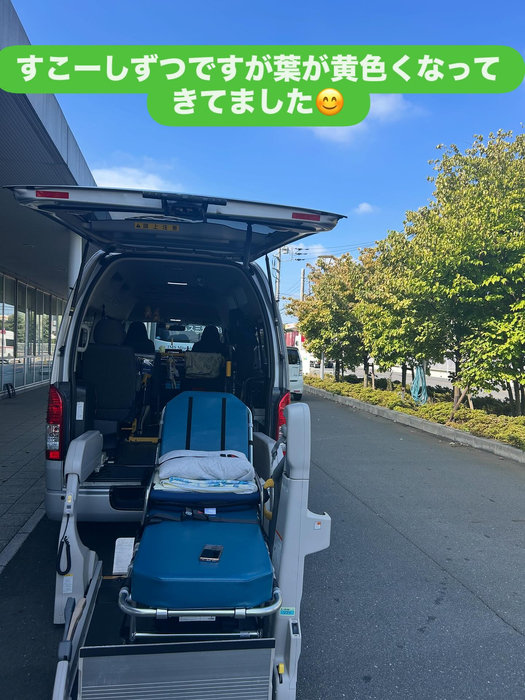 画像1382