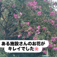 画像1390