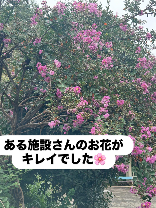 画像1390