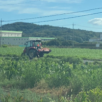 画像1396