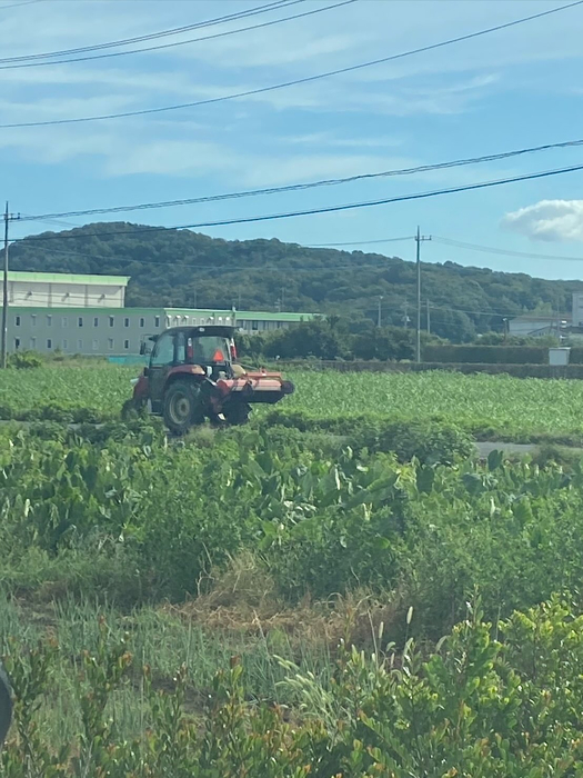 画像1396