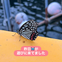 画像1399