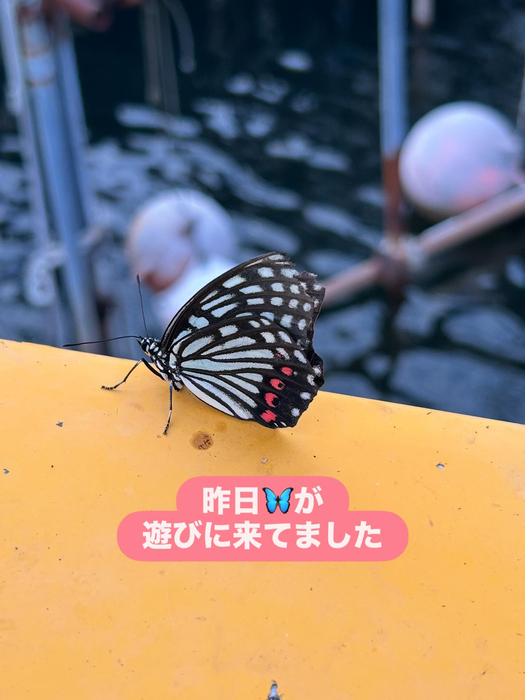 画像1399