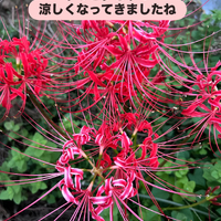画像1402
