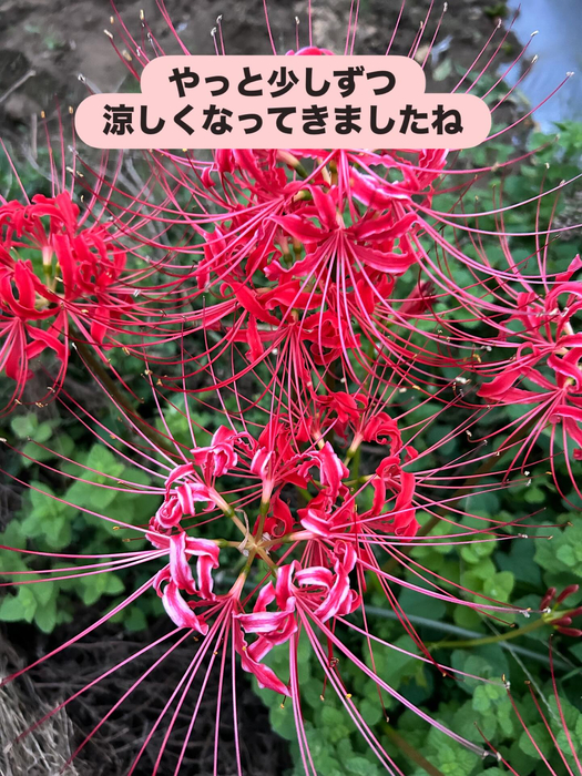 画像1402