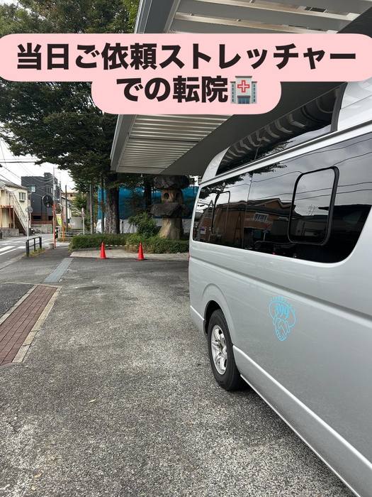 画像1437