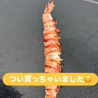 画像1443