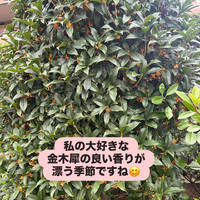 画像1458