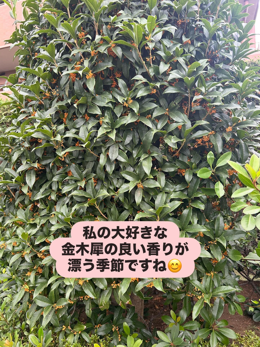 画像1458