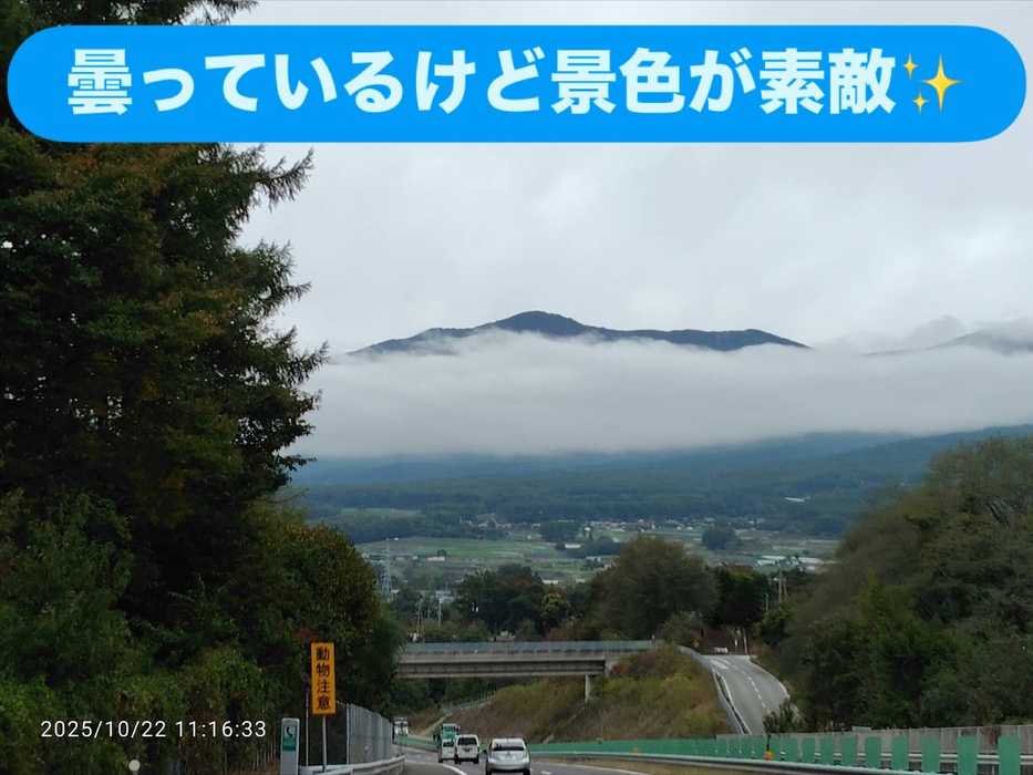画像1465