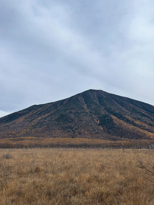画像1508