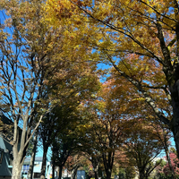 画像1519