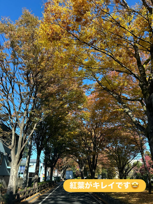 画像1519