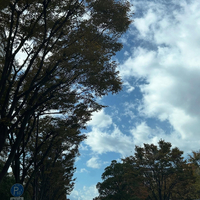 画像1520