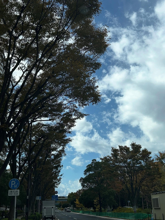 画像1520