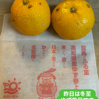 画像1630