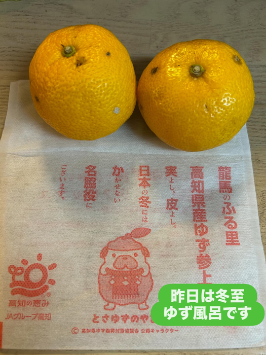 画像1630
