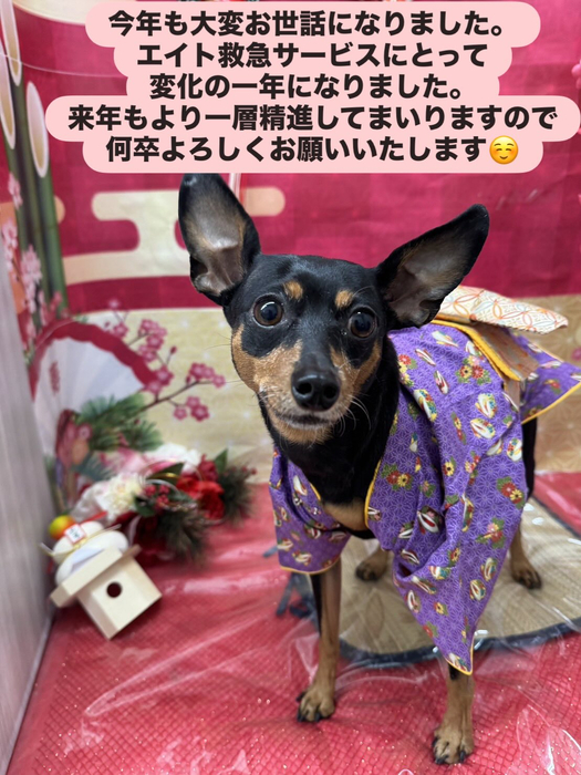 画像1646
