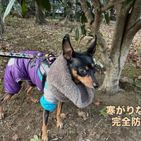 画像1768
