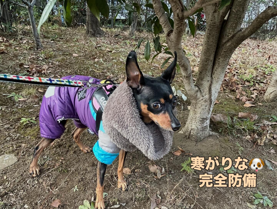 画像1768