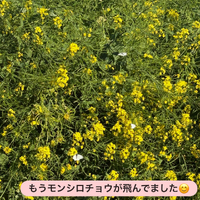 画像1914