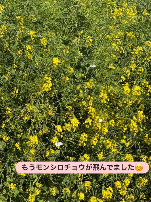 画像1914