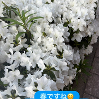 画像1977