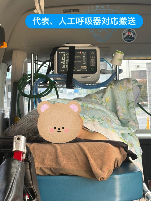 画像2023
