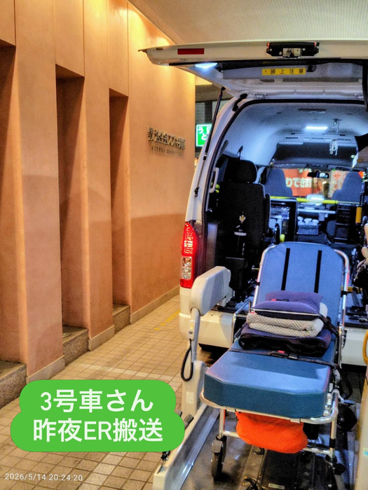 画像2024